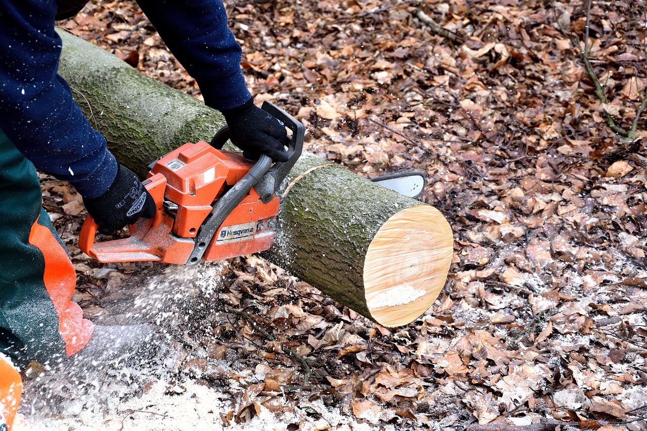 lumberjack, chainsaw, woodwork-2146509.jpg